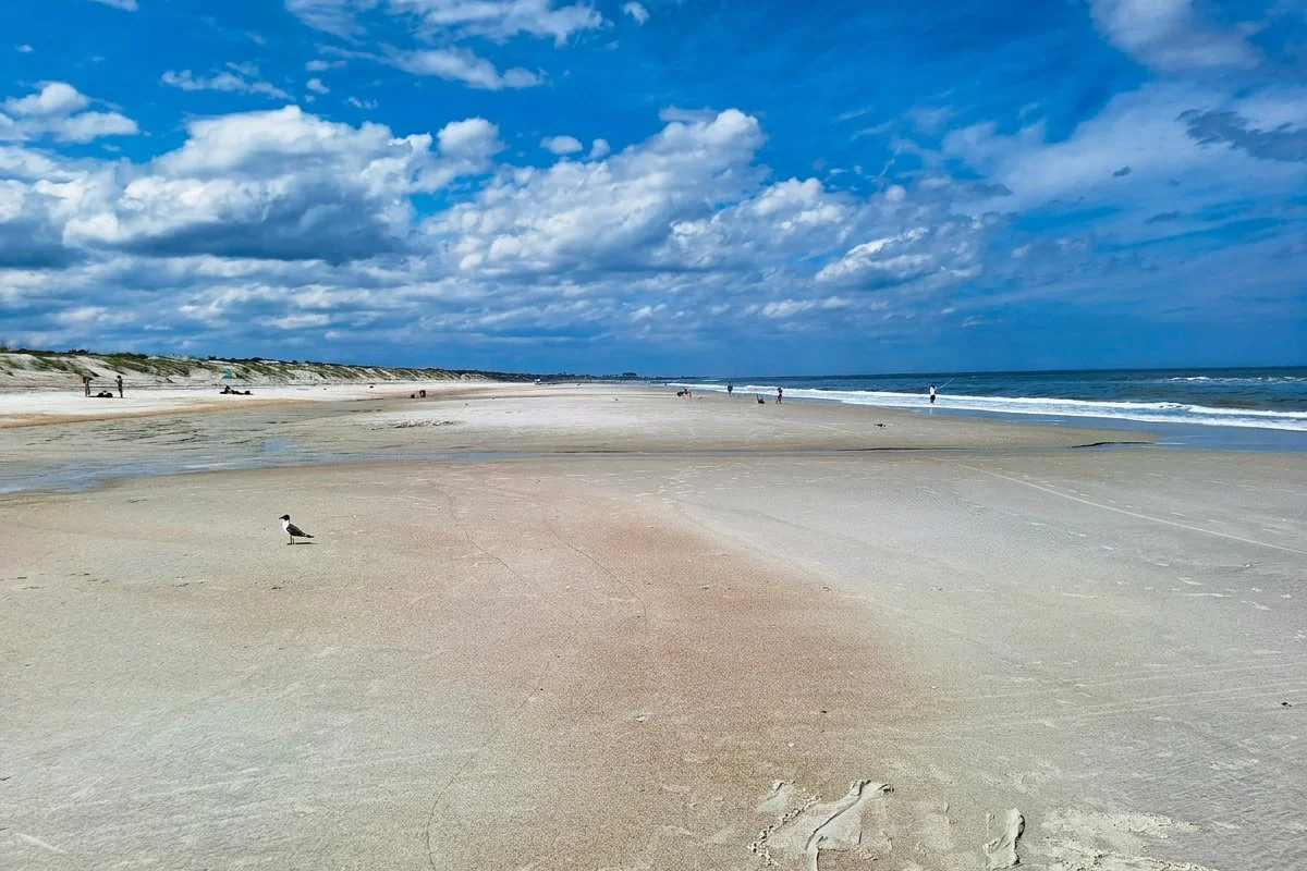 Kathryn Abbey Hanna Park Atlantic beach aerial view — 1.5 miles of uncrowded coastline inside Jacksonville city limits, virtually no crowds compared to the main Jacksonville Beach strip